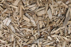 biomass boilers Llangwyllog